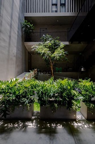 Hình ảnh 🤟 Căn Hộ Duplex1PN Cao Cấp Quận2_Gần Cầu SG_Trung Tâm Đô Thị AnPhú 🤟