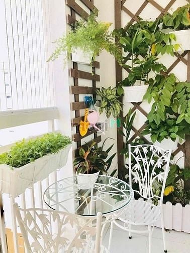 Hình ảnh cần cho thuê CC IDICO, Lũy bán bích,Q.tân phú block C 65m2 2PN 2WC