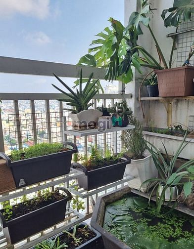 Hình ảnh Cho thuê Trang Chủ MB66.COM / Đăng Ký Tặng 66K gần đầm sen 2pn 11tr/tháng view ngắm pháo hoa