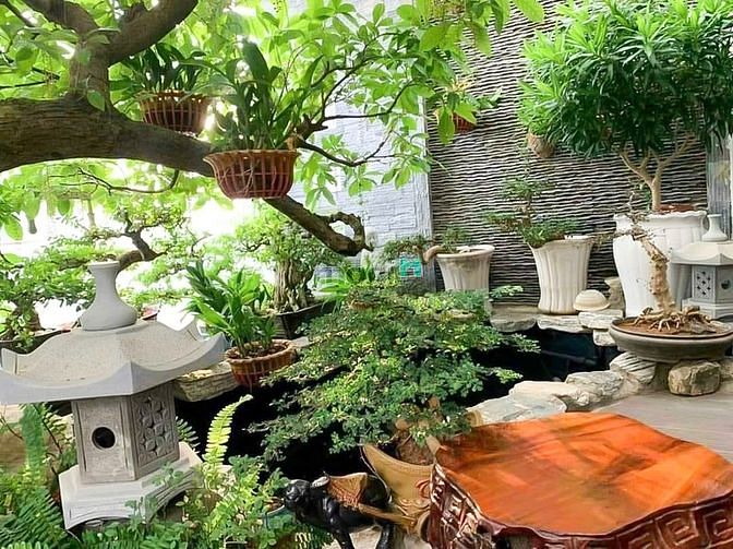 Hình ảnh Cho Thuê Biệt Thự Mini 2 Mặt Tiền Đình Phong Phú, Tăng Nhơn Phú B