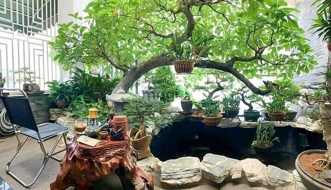 Hình ảnh Cho Thuê Biệt Thự Mini 2 Mặt Tiền Đình Phong Phú, Tăng Nhơn Phú B