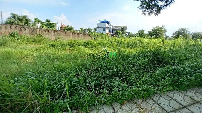 Hình ảnh Giảm 4.2tỷ còn 9.8 tỷ 385m2 đất phân lô Khu VIP Biệt thự View Sông Tắc