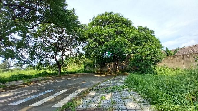 Hình ảnh Giảm 4.2tỷ còn 9.8 tỷ 385m2 đất phân lô Khu VIP Biệt thự View Sông Tắc