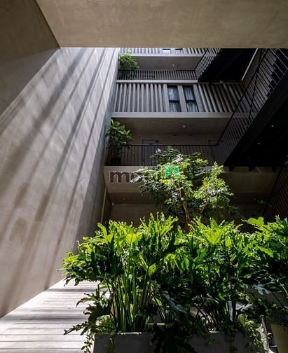 Hình ảnh 🌈Khai Trương C.Hộ Duplex Luxury_Minimalist Style_An Khánh