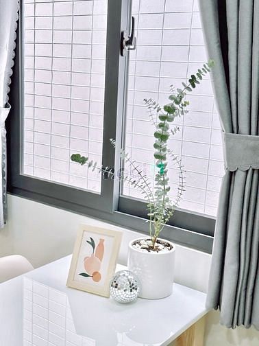 Hình ảnh ☆☆☆☆☆ MỚI - Siêu Ưu Đãi ● STUDIO cửa sổ Full nội thấy CAO CẤP BÌNH THẠ