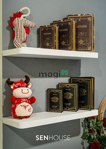 Hình ảnh 🌈🌈1PN_Siêu phẩm Q10_Thiết kế hơi hướng Châu Âu🌈🌈