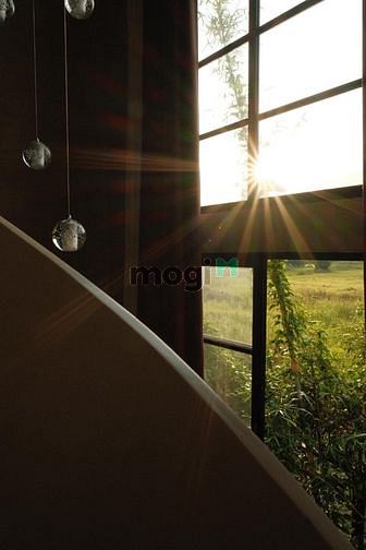 Hình ảnh The Sunset Duplex _ Chủ Nghĩa Minimalism Hiện Đại