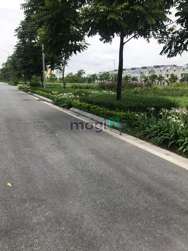 Hình ảnh Moonlight 1 An Lạc- 