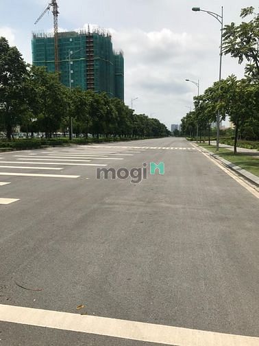 Hình ảnh Moonlight 1 An Lạc- 