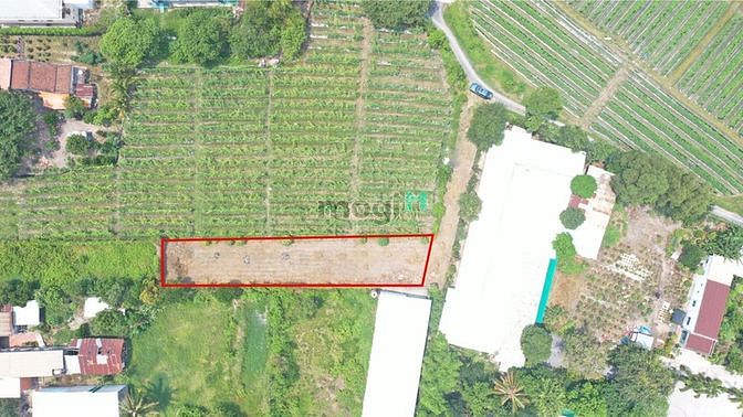 Hình ảnh Cần bán gấp- Đất Củ Chi- 100% thổ cư