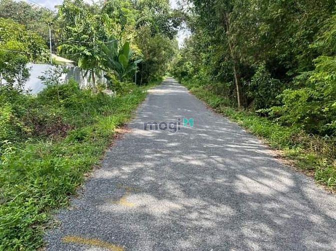 Hình ảnh Chủ gửi bán lô đất Mt nhựa phan thị vẽ xã An Nhơn Tây