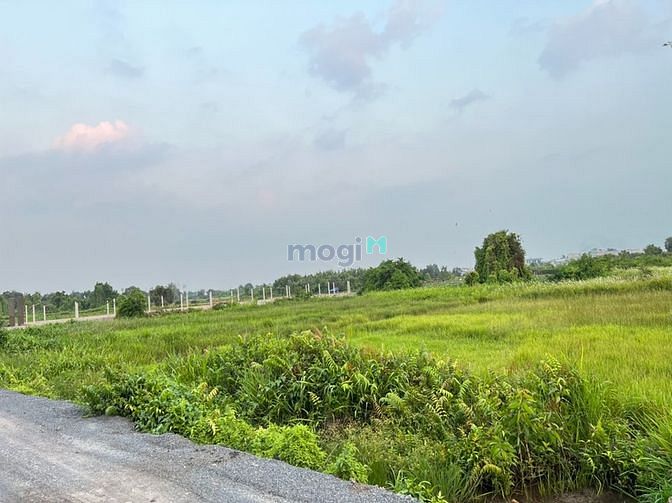Hình ảnh Bán Đất Khu Dân Cư Bình Mỹ Củ Chi Diện Tích 1188M2 Giá 15 Triệu/M2.