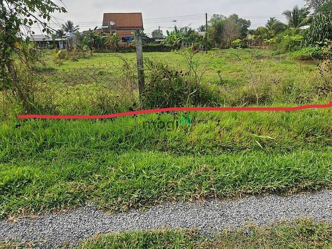 Hình ảnh Cần bán đất trồng lúa khu vực Long An