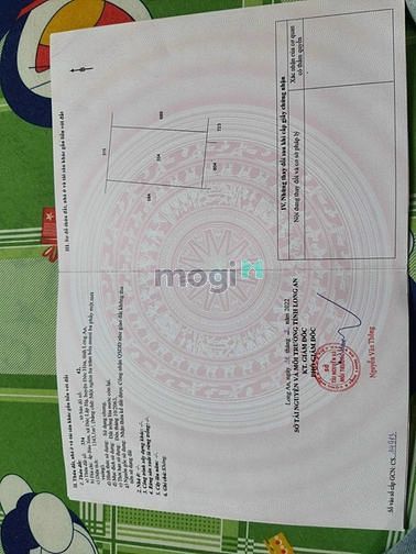 Hình ảnh Cần bán đất trồng lúa khu vực Long An
