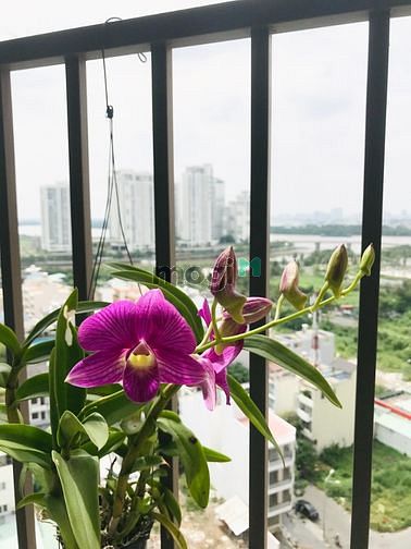 Hình ảnh The Sun- giá ưu đãi 16tr có bao phí * 2 phòng ngủ - full nội thất
