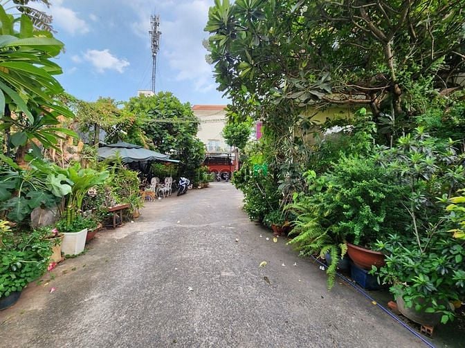 Hình ảnh ĐẤT 2500M2! CHO THUÊ đất trống THẢO ĐIỀN 6000$/1000M2 cực kỳ rộng rãi