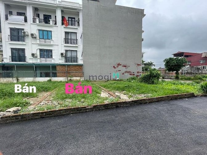 Hình ảnh SIÊU HIẾM-ĐẤT VÀNG PHÚC LỢI-LONG BIÊN-ô tô-45m-nhỉnh 3 tỷ