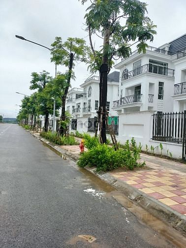 Hình ảnh Cần bán cắt lỗ căn liền kề HUD MÊ LINH 117m2 mặt đường 24