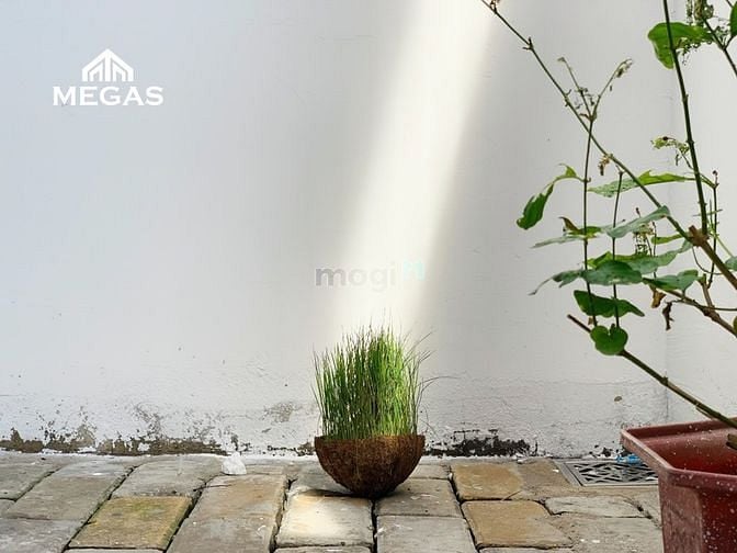 Hình ảnh Căn Hộ Dịch Vụ Mới 100% Ngay Cầu Rạch Chiếc