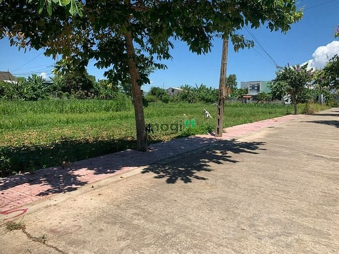 Hình ảnh Nhanh tay sở hữu ngay đất nền Điện Bàn giá chỉ 779 Triệu