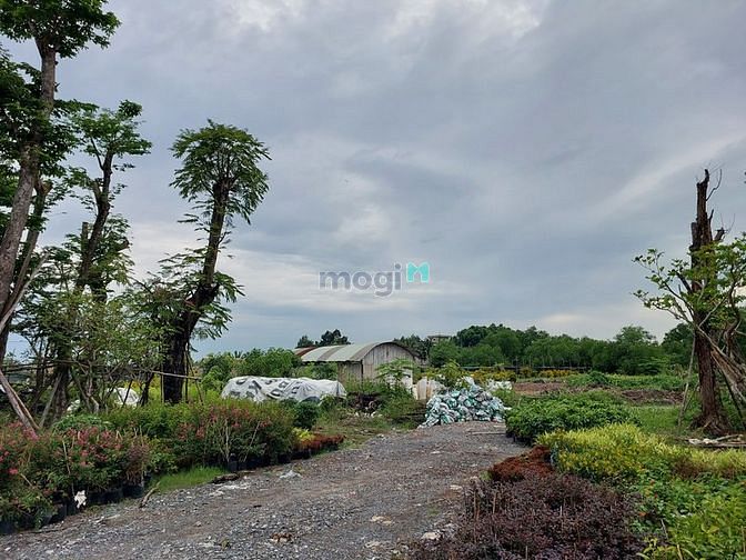 Hình ảnh Cho thuê 10300m2 đất Quận 9 (TP. Thủ Đức) giá siêu rẻ