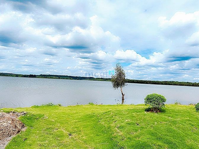 Hình ảnh Đất ven hồ thác mơ khai thác du lịch , 270 trệu sở hữu 1050m2