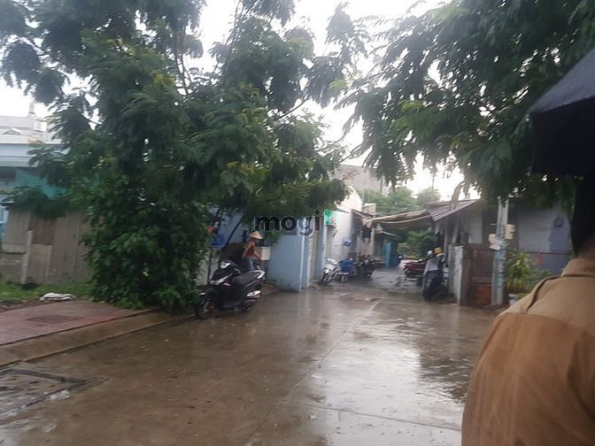 Hình ảnh Đất siêu Đẹp 113m2 mặt đường 20m đối diện Công Viên PM Quang Trung