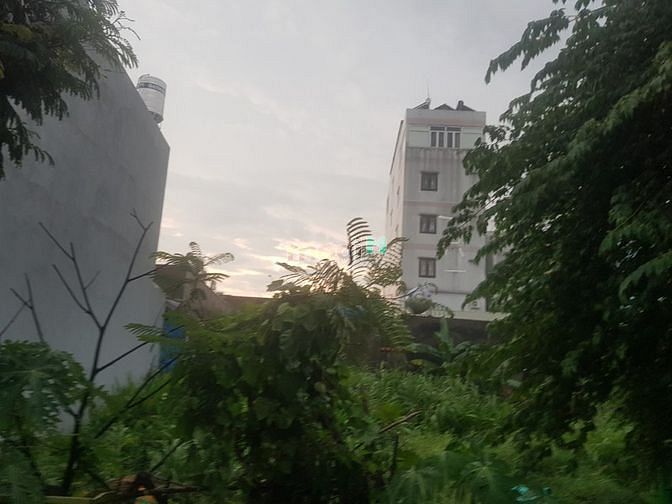 Hình ảnh Đất siêu Đẹp 113m2 mặt đường 20m đối diện Công Viên PM Quang Trung