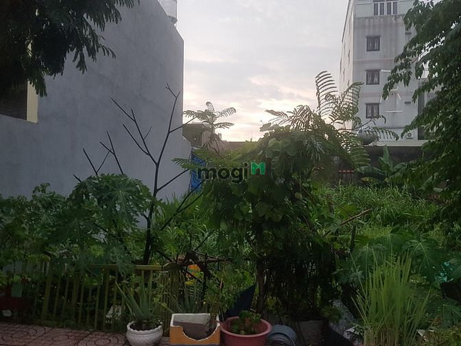 Hình ảnh Đất siêu Đẹp 113m2 mặt đường 20m đối diện Công Viên PM Quang Trung
