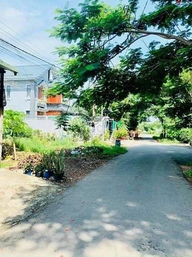 Hình ảnh Bán đất mặt tiền Lê Thị Đẹt, Tân Thạnh Tây, Củ Chi, 70m2-2ty3 - sổ sẵn