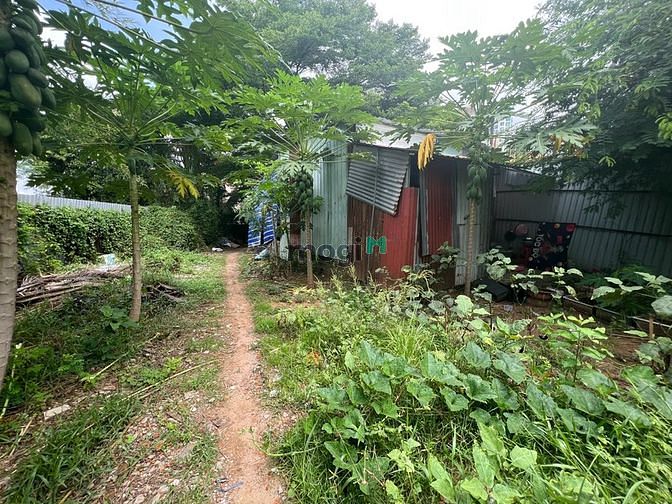 Hình ảnh CHO THUÊ đất trống THẢO ĐIỀN 2000M2 198TR kinh doanh tự do