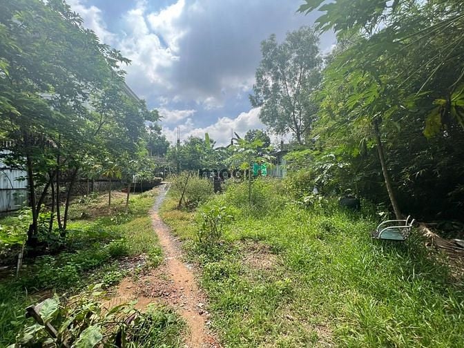 Hình ảnh CHO THUÊ đất trống THẢO ĐIỀN 2000M2 198TR kinh doanh tự do