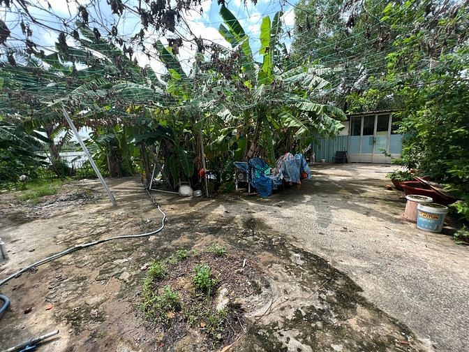 Hình ảnh CHO THUÊ đất trống THẢO ĐIỀN 2000M2 198TR kinh doanh tự do