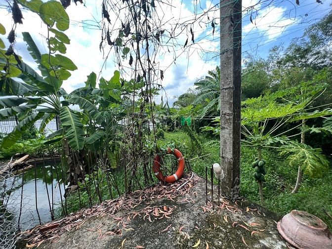 Hình ảnh CHO THUÊ đất trống THẢO ĐIỀN 2000M2 198TR kinh doanh tự do