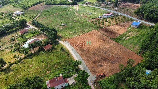 Hình ảnh Cắt ra bán bớt 1.200M2 đất THỔ CƯ SỔ HỒNG RIÊNG, giá 195 TRIỆU