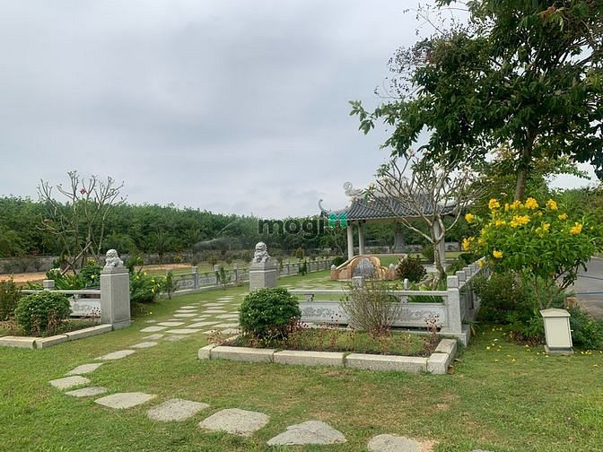 Hình ảnh Bán huyệt mộ đơn, mộ đôi, gia đình, gia tộc, mộ cải táng