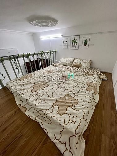 Hình ảnh Căn Hộ Duplex Giá Rẻ  - Lê Văn Thọ