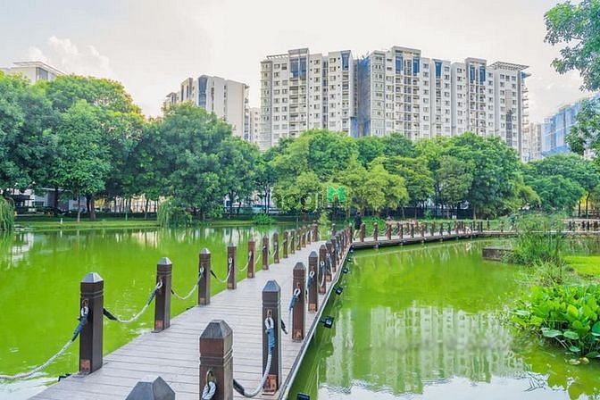Hình ảnh Cho thuê Emerald Celadon city 68m2,2pn, Nội thất đầy đủ, Ở liền