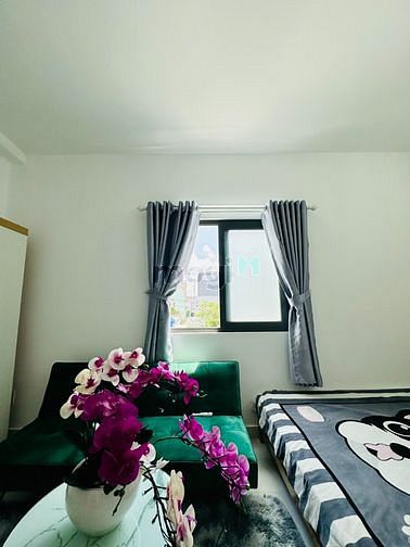 Hình ảnh Phong Studio Giá Rẻ Full Nội Thất_ Quang Trung Gò Vấp