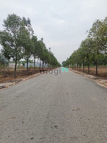 Hình ảnh Cần bán miếng đất 323m2 với  100% thổ cư, nằm trong khu dân cư