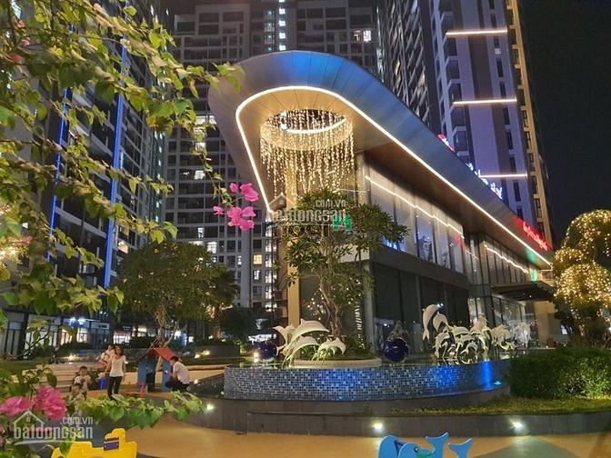 Hình ảnh giỏ hàng mới nhất jamila nhiều căn giá tốt