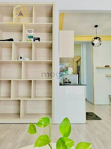 Hình ảnh Mb6623 nạp rút nhanh chóng Studio với cửa sổ lớn full NT gần quận nhà thờ Đức Bà quận 1