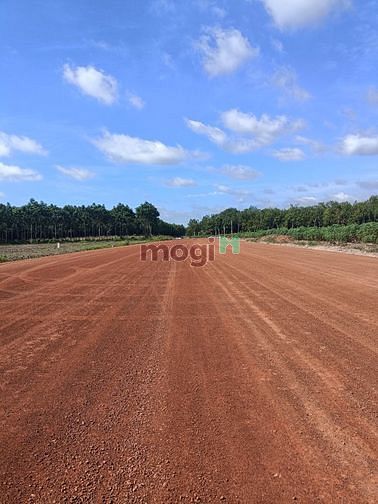 Hình ảnh Địa chỉ: Minh Thắng Chơn Thành, Bình Phước