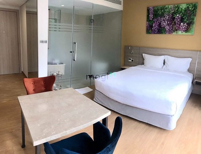 Hình ảnh Cho thuê căn studio cao cấp cạnh The Sun Avenue, 1PN, Full NT, 12tr