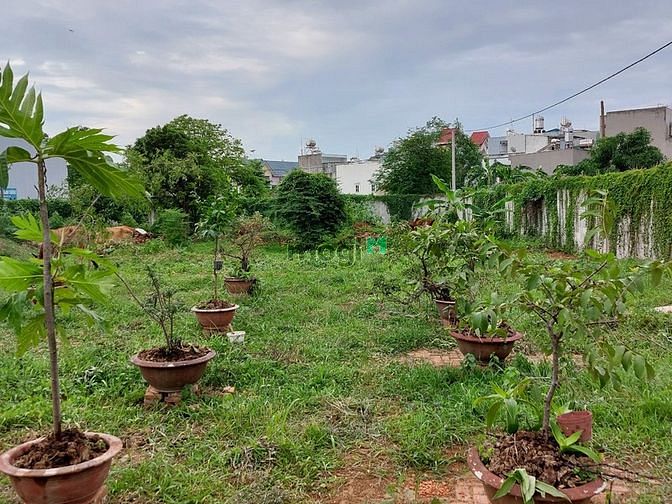 Hình ảnh Cho thuê bãi xe Bình thắng, Dĩ An 1330m2