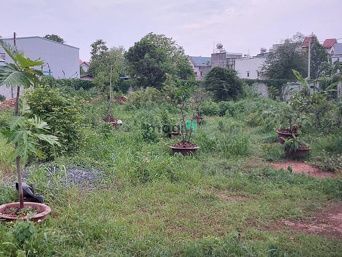 Hình ảnh Cho thuê bãi xe Bình thắng, Dĩ An 1330m2
