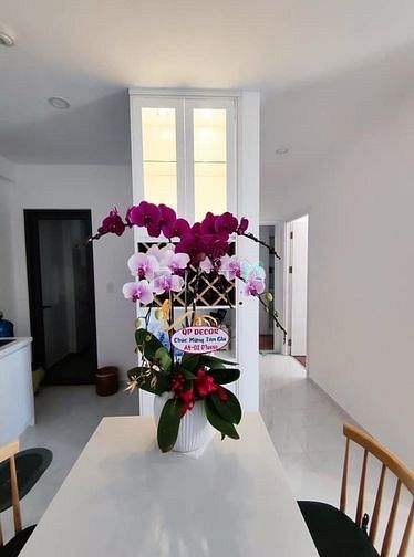 Hình ảnh Chuyên cho thuê Trang Chủ MB66.COM / Đăng Ký Tặng 66K D'LUSSO