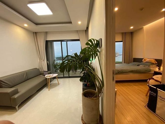Hình ảnh BÁN LỖ CH The Everrich Infinity Q5 41m2 1pn