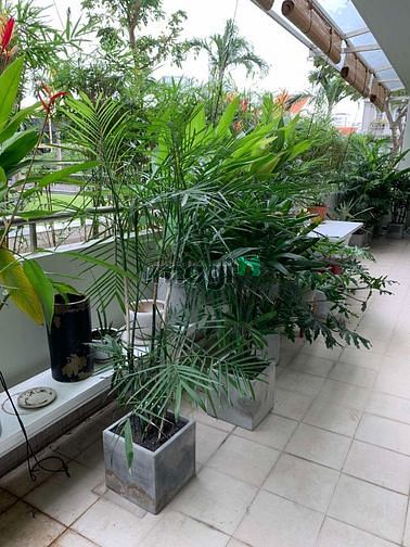 Hình ảnh Cho thuê CH Riverpark Residence PMH Q7. dt 143M2, Tầng sân vườn