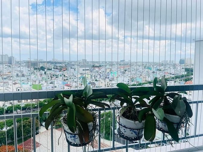 Hình ảnh Chuyển sang nhà đất ở nên bán căn Starlight Riverside Q6 57m2 1.834 tỷ